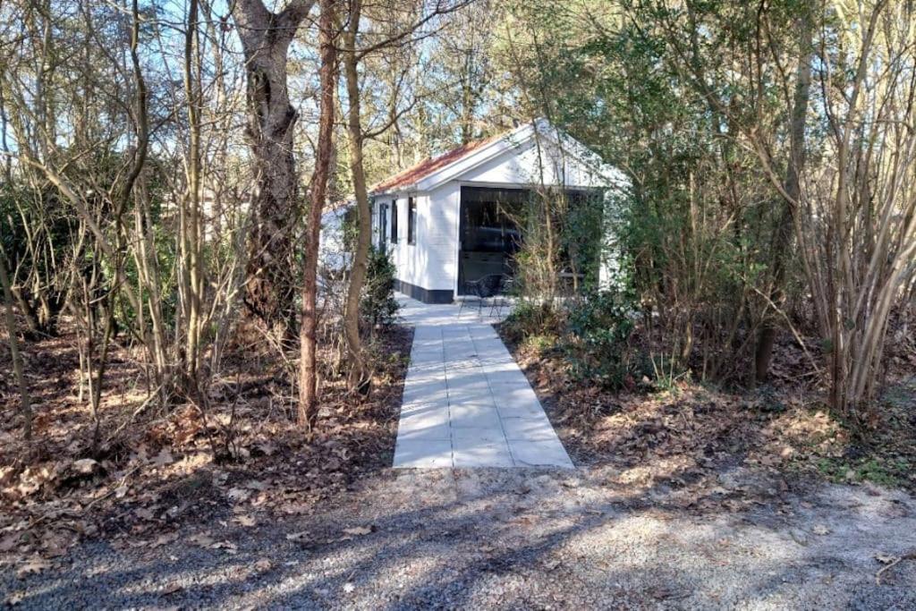 Relaxed Luxery Forest View Bungalow With Jacuzzi Villa Hattemerbroek Buitenkant foto